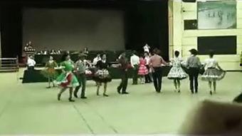 白桦林成人舞蹈视频,优雅与力量的完美融合