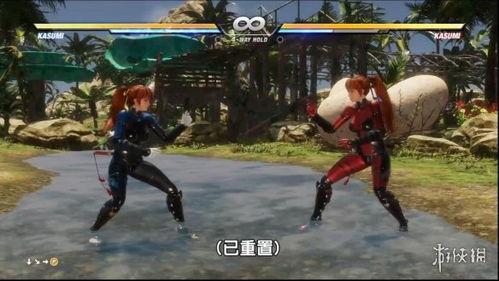 成人格斗训练小游戏视频,成人格斗训练小游戏视频深度解析