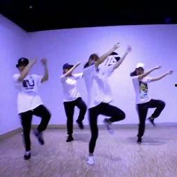 成人舞踏山河教学视频,成人舞蹈教学视频精华解析