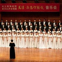 红色简单成人合唱视频,成人合唱的激情演绎