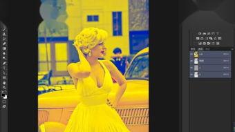 欧美成人左线视频网站,揭秘热门内容与用户偏好