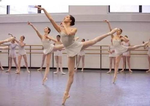 子伶成人舞蹈视频大全,舞动魅力，尽享舞蹈盛宴